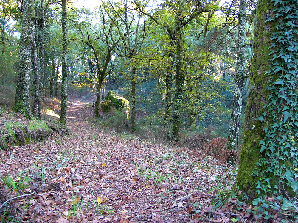 Quinta Da Prova Villa Arcos de Valdevez Exterior photo